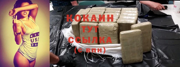 гидра Верея