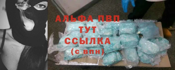 ПСИЛОЦИБИНОВЫЕ ГРИБЫ Семилуки