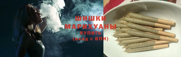 молекула духа Горнозаводск
