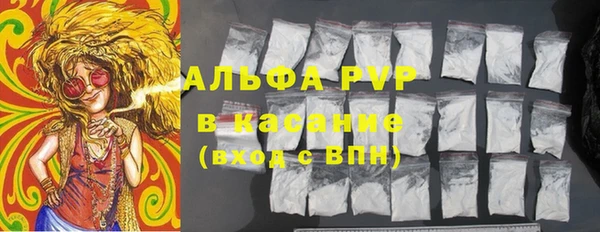 гидра Володарск