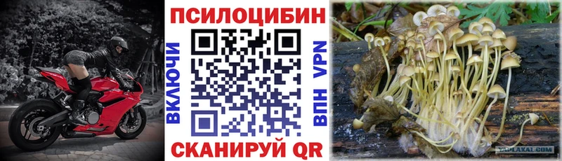 blacksprut маркетплейс  Ершов  Псилоцибиновые грибы мухоморы 